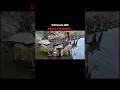 Last days of the greatest lion of Africa #youtube #video #viral #shorts
