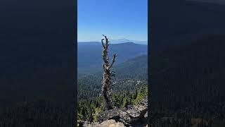 🌲 Hike to Lookout Mountain  | Mt. Hood’s Hidden Panoramic Views #LookoutMountain #HighPrairieTrail