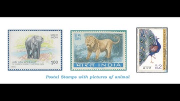 Class 5 PSEB My World-5 (Environmental Studies)- Lesson 6: Earth-Our Home Too  (Part -1)