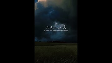 خالدين فيها وعد الله حقا | قران كريم بصوت القارئ ياسر الدوسري | راحة نفسية