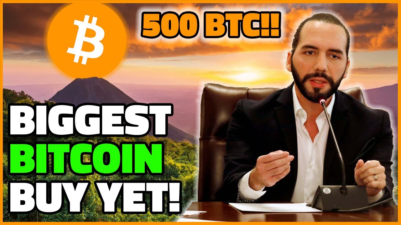 Market Mayhem And Calling The Bitcoin Price Bottom