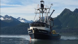 The Sea Prince Cruising Through Prince William Sound
