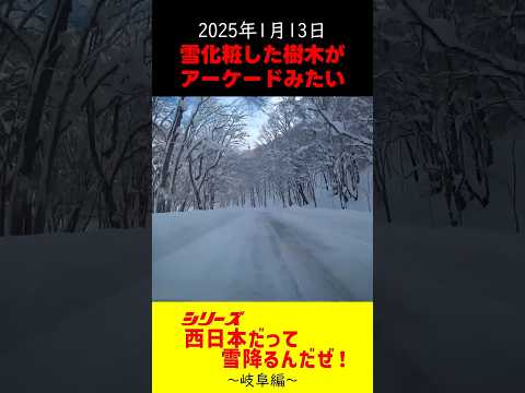 【西日本だって雪降るんだぜ！】岐阜県大和町～高山市(2025 /1/ 13)　★降りたてのモコモコ雪が走り心地最高だった！　#道の駅 古今伝授の里やまと#雪道#車中泊