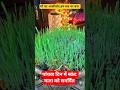 @नवरात्रि पांचवा दिन मां स्कंदमाता को समर्पित# माँ स्कंदमाता, कमल के आसन विराजमान 'पद्मासना देवी'.