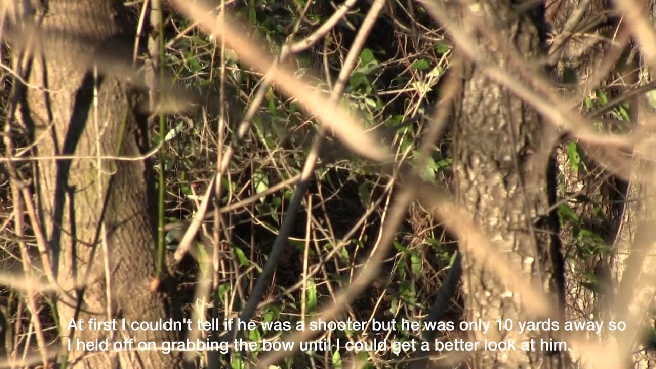 Maryland Hunt (November 14th, 2015) 