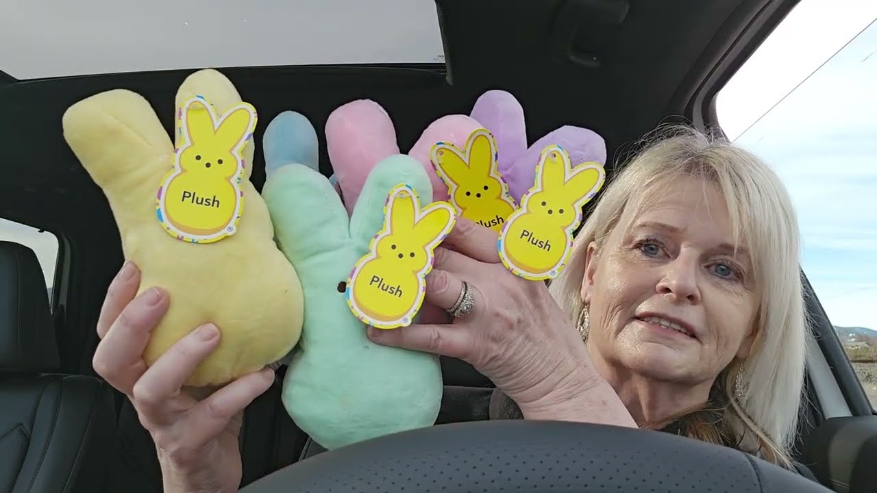 New car Dollar Tree Haul