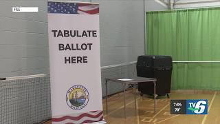 Early voting for Michigan August primary starts Saturday