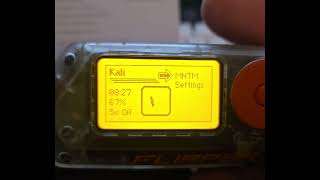 Pingequa Flipper Zero 2-In-1 Rf Devboard Malfunction