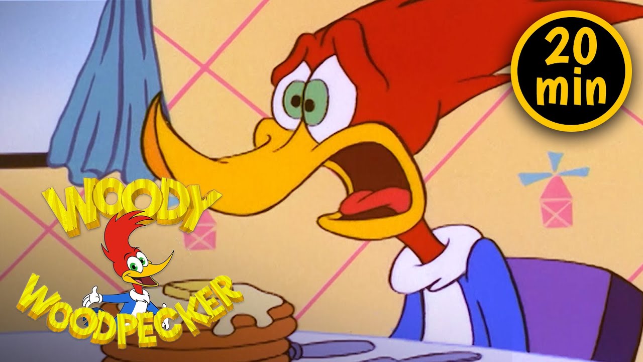 Woody's Roommate | 3 Full Episodes | Woody Woodpecker