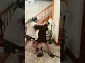 Big fight/ made by me with AI #lifeisbutadream #funny