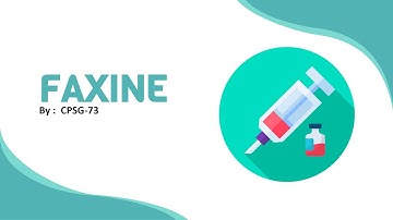 Presentasi Capstone Project Tim CPSG-73 | SIB Batch 2 Dicoding Indonesia | Project Faxine