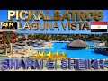 4K PICKALBATROS LAGUNA VISTA 2024 SHARM EL SHEIKH HOTEL GOOD BEACH RESORT EGYPT