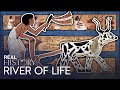 Why The River Nile Was So Important To The Ancient Egyptians