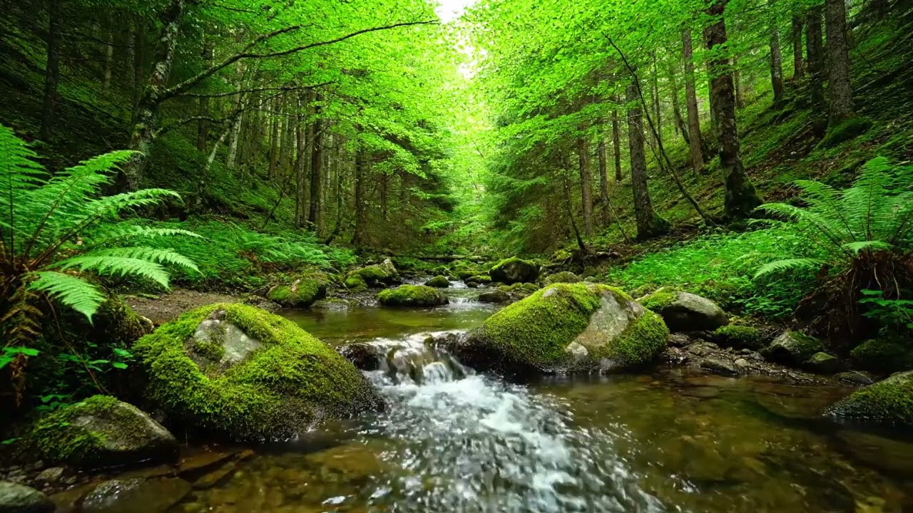 3 HOURS of Pure Calm 🎧 Deep Focus Music for Sleep, Study & Stress Relief (Ultimate Relaxing Ambient)