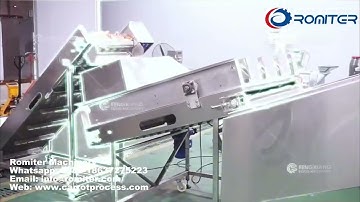 Automatic Carrot Feeding Segment Cutting Machine