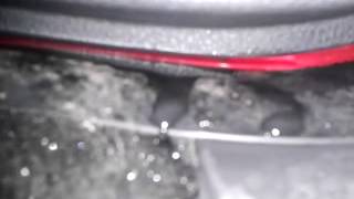 Renault Duster rainwater leakage from left rear door 20130903 195714