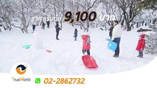 เที่ยวเกาะเชจูฤดูหนาว เริ่มต้น 9,100 บาท | Winter Jeju in Korea