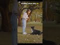 3 Signs Your Dog Doesn't Respect You