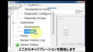 Foxboro PH10 Sの設定 字幕付き