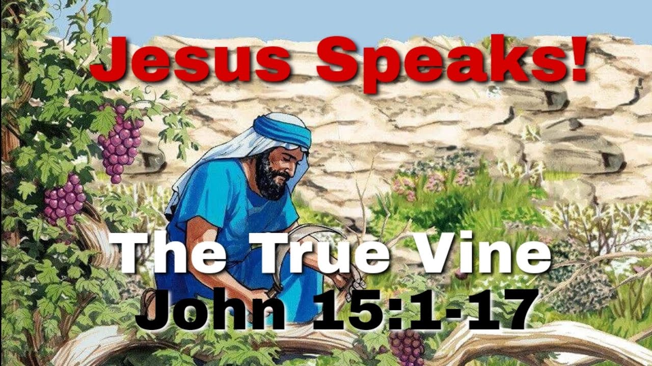 jesus-speaks-the-true-vine-john-15-1-17-youtube