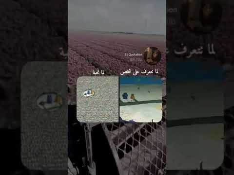 يا ريت ترجع