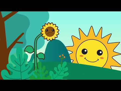 El Girasol para
