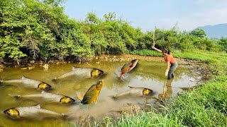 Use the pump to suck water out of the lake, catch many big and delicious fish