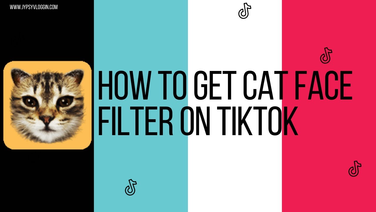 Wieg bizon bewondering How to get cat face filter on TikTok - YouTube