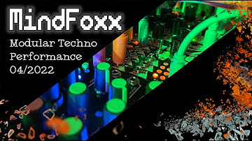 Modular Techno Performance 04/2022 (Basimilus Iteritas Alter/Erica Synths Bassline/Moog DFAM)