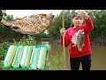 Primitive Technology -  Cooking Rice With Bambo Tube & Grilled Fish By Girl - Eating Delicious