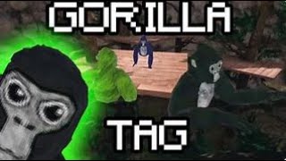 FAN LOBBIES | (COMEBACK) #viral #vr #gorillatag #gtag #oculus #live #fyp #vertical