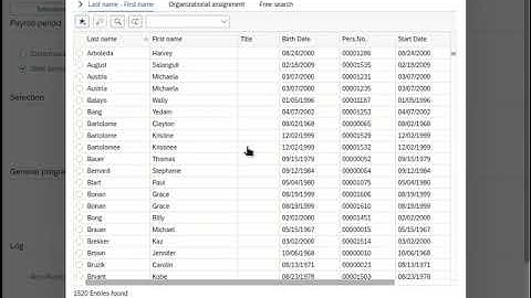 SAP S4Hana Tutorial/Follow-Along HCM II Case Study    Step 4
