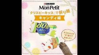 「モンプチ クリスピーキッス」　外装パッケージでLet’s 折り紙♬　～難易度★★★★(レベルMAX)　キャンディ編～