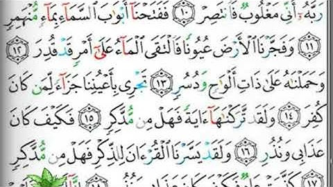 مصحف التجويد صفحة 529 إبراهيم الأخضر  🕋🕋