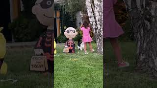 Girl in pink dress walks up to cat near Trick or Treat Halloween decoration then gets hit on face