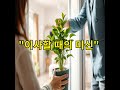 &quot;이사할 때의 미신: 문화와 역사 속 숨겨진 의미&quot;