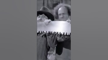 The three stooges #youtubeshorts #thethreestooges #shortsfeed