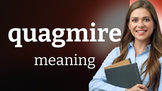 Quagmire | definition of QUAGMIRE