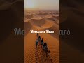 moroccos red dunes a martian landscape on earth #RedDunes #sahara #adventuretime