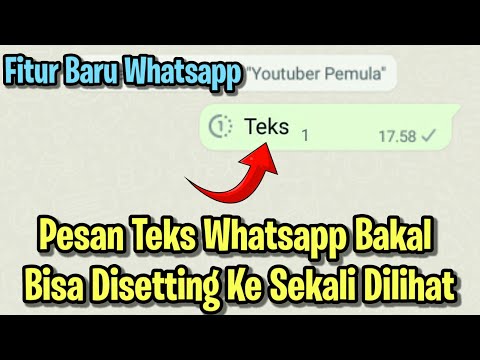 Video: Bisakah WhatsApp mengirim pesan teks?