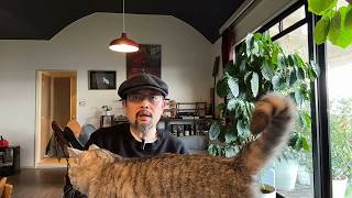 日企确实是“恶意补偿”：这不是网络烂梗，而是中国大多数人的认知｜佳能｜2 5N 1｜劳动法｜索尼