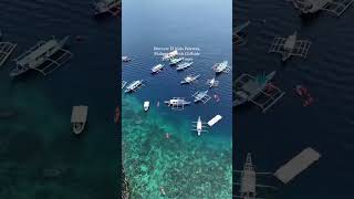 Discover El Nido Palawan, Philippines with El Nido Tours by Cliffside Travel and Tours