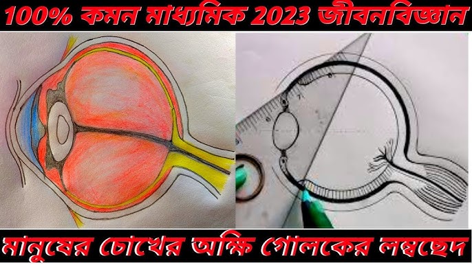 Rossiyada lolilar porno