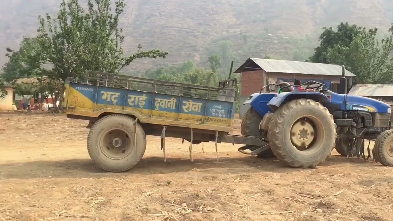 Limgha Gau Ghumdai (Gulmi)sundar gau