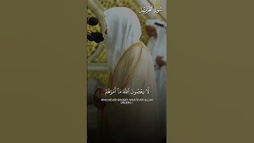 ما تيسر من سورة التحريم | تلاوة فضيلة الشيخ د.#عبدالباري_الثبيتي