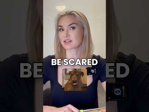 از ریاضی نترس ریاضی Satexam Satprep 