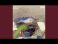 Miniature de la vidéo de la chanson Sonata For Violin And Piano (1917): Iii. Finale: Très Animé