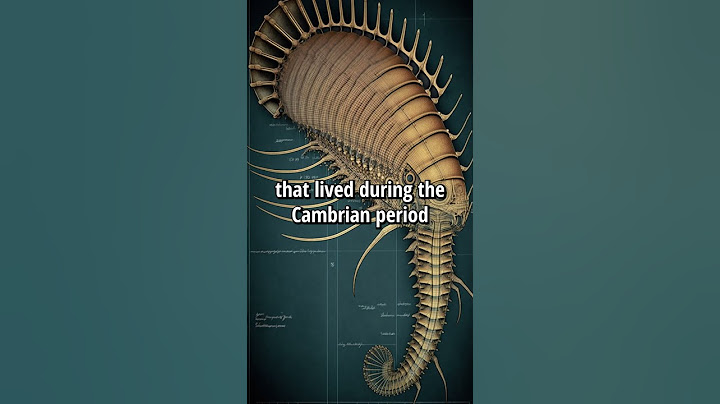 How Anomalocaris Ruled the Seas: Unveiling the Ancient Giant of the Cambrian Era