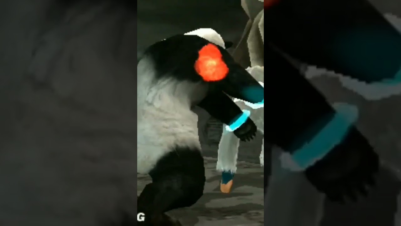 Panda win animation - TEKKEN: DR