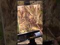 Plein Air at a Bog #art #painting #pleinair #pleinairpainting #oilpainting